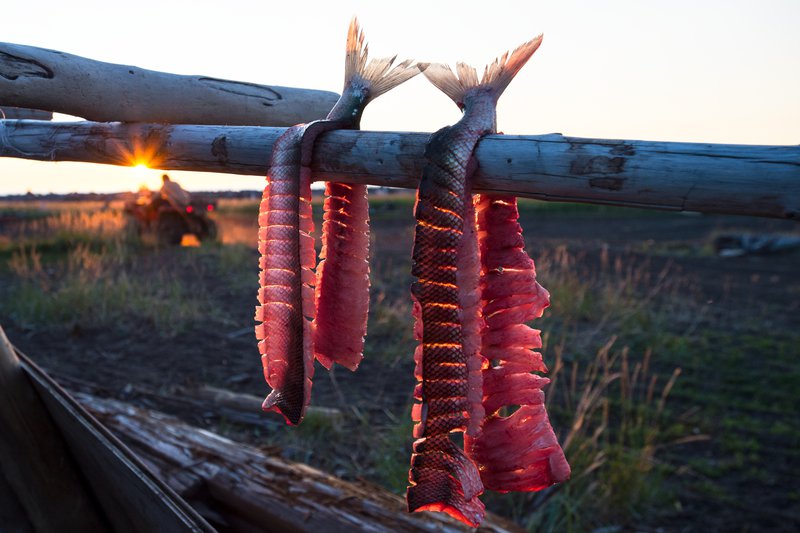 Mather_Website_UsageExpires Oct 2022_10.jpg