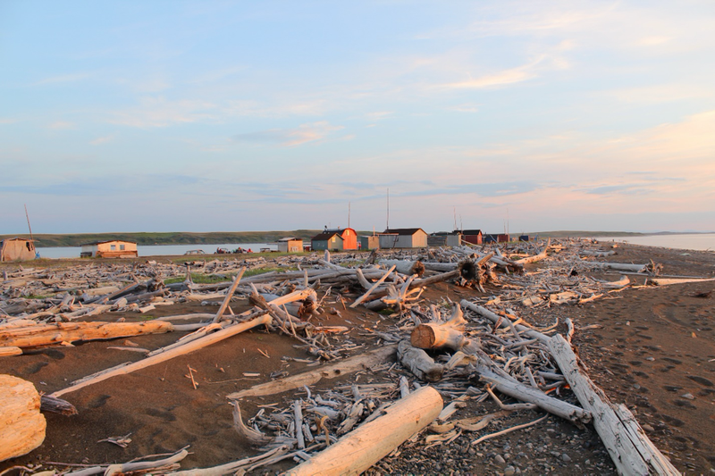 Shingle Point (Tapqaq)